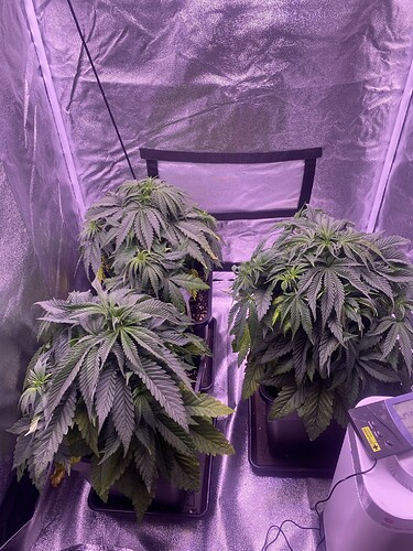 Growreport Bild 5