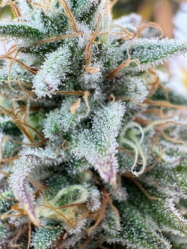 dbdde07d-0889-41a6-8ebd-0e415a37862b