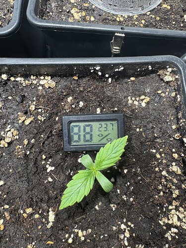 Growreport Bild 10