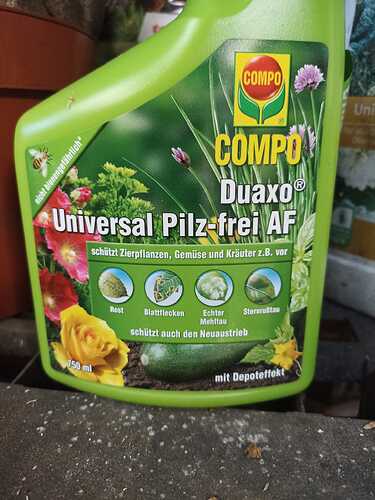 Growreport Bild 8