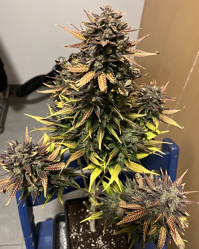 Growreport Bild 12