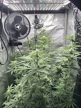 Growreport Bild 2