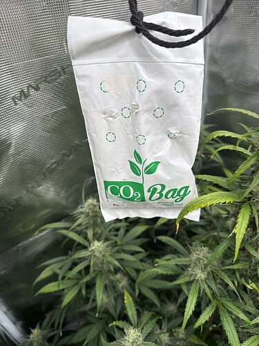 Growreport Bild 10