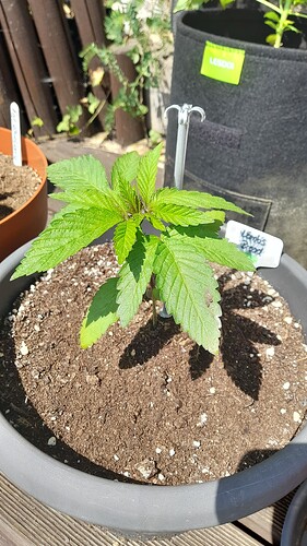 Growreport Bild 8