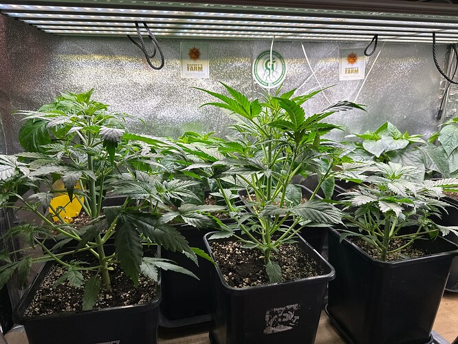 Growreport Bild 5