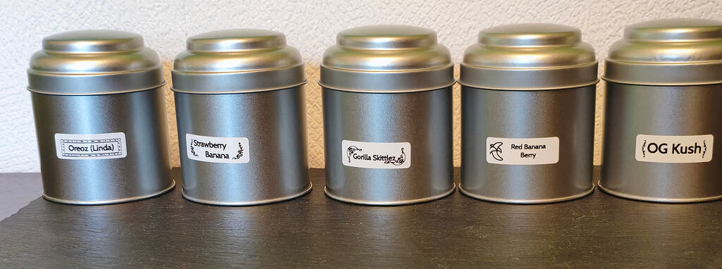 Hanf im Glück auf dem Oberdeck