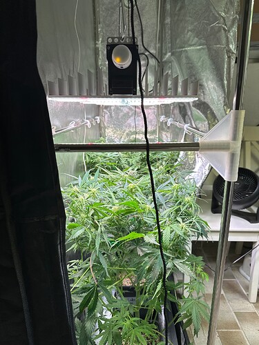 Growreport Bild 2