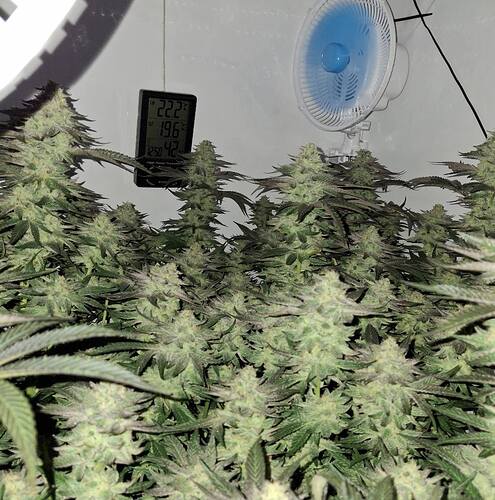 480158933_122168031128293599_4911873552325723282_n