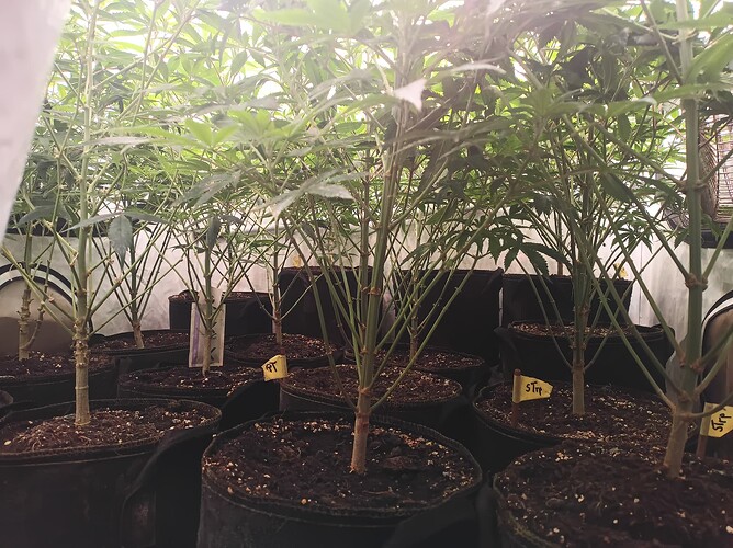 Growreport Bild 2