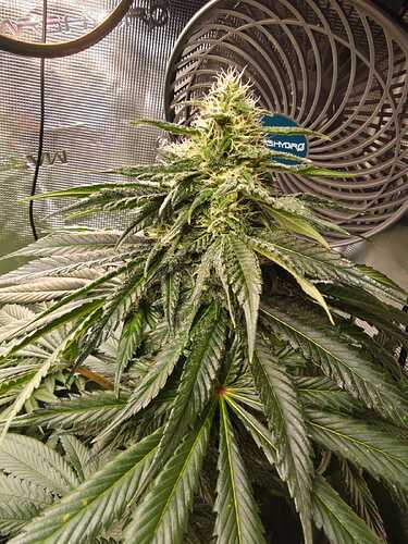 Growreport Bild 14