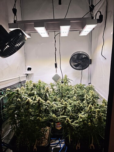 MVIMG_20251107_163514