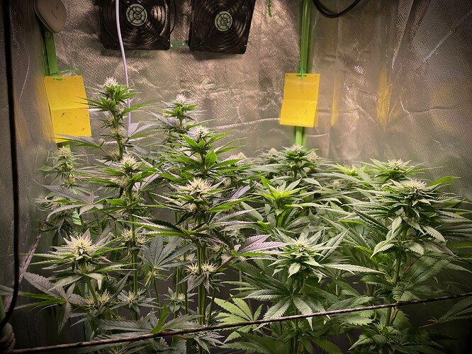 Growreport Bild 18