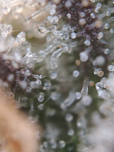 MVIMG_20251126_181734