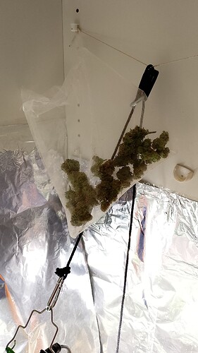 Growreport Bild 5