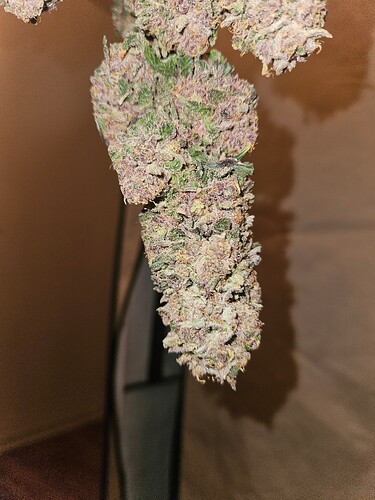 Growreport Bild 21