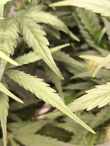 Growreport Bild 13