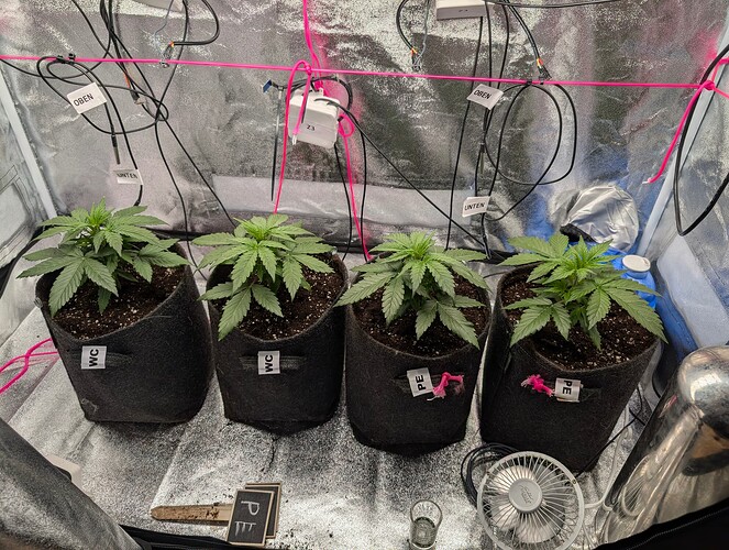 PXL_20250314_115728504.RAW-01.COVER