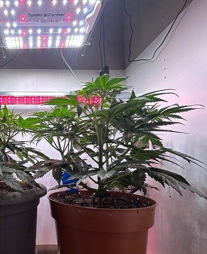 Growreport Bild 19