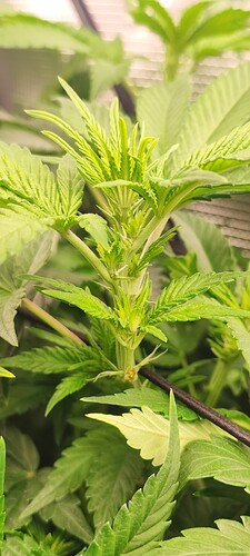 Growreport Bild 11