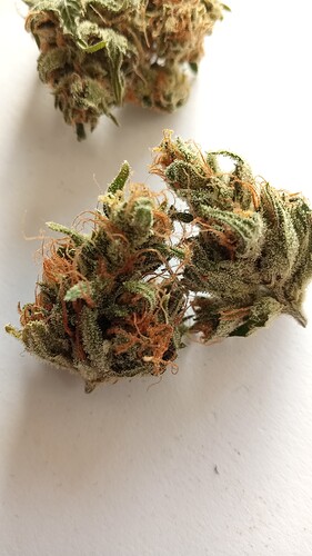 Growreport Bild 16