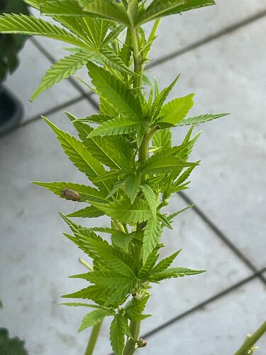 Growreport Bild 18