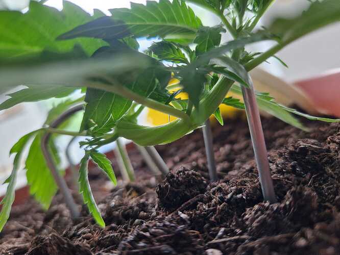 WhatsApp Image 2024-05-22 at 17.48.42 (2)