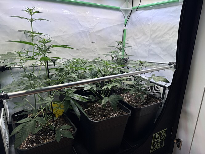 Growreport Bild 7