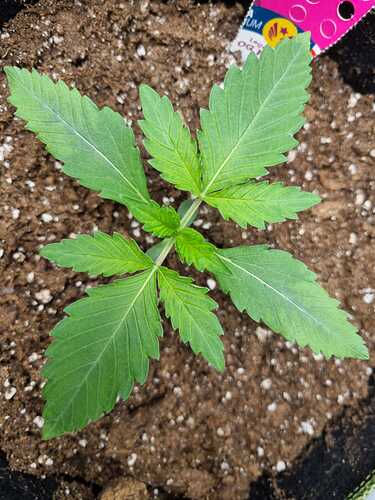 WhatsApp Image 2024-05-03 at 00.42.45(1)