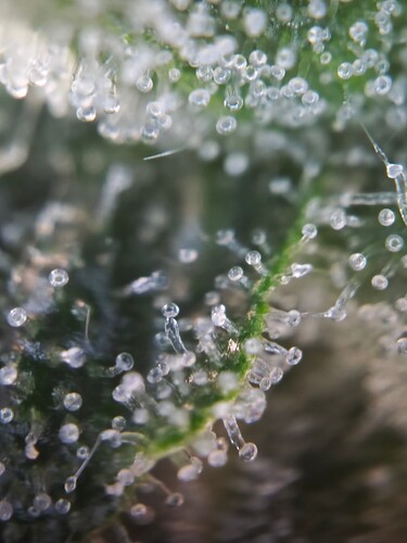 MVIMG_20251114_160219