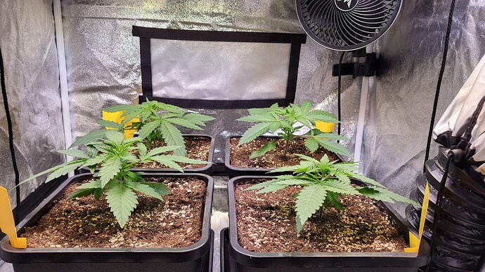 Growreport Bild 5