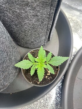 Growreport Bild 19