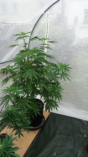 Growreport Bild 22