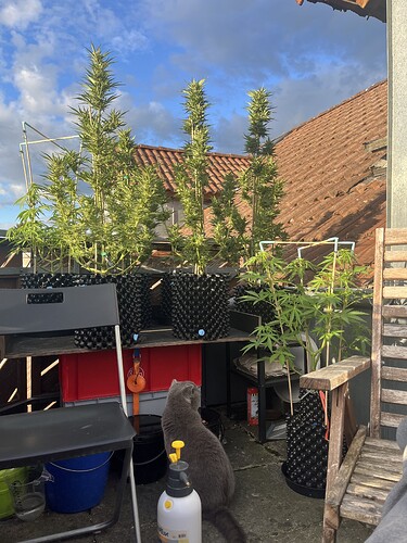 Growreport Bild 1