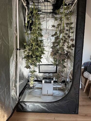 Growreport Bild 2