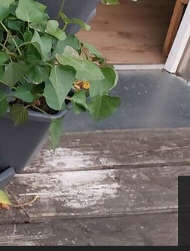 Growreport Bild 75
