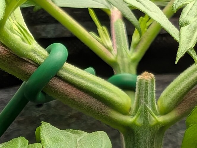 Growreport Bild 12