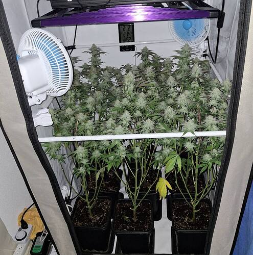 Growreport Bild 16