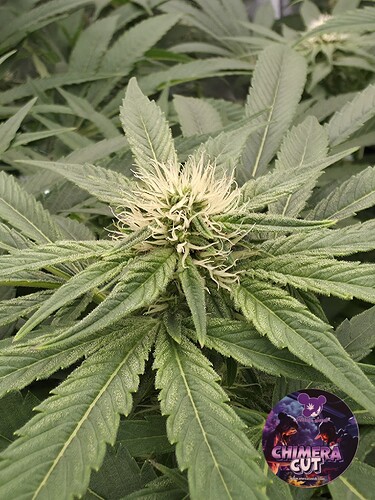 Growreport Bild 20