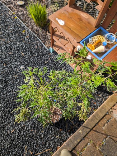 Growreport Bild 16