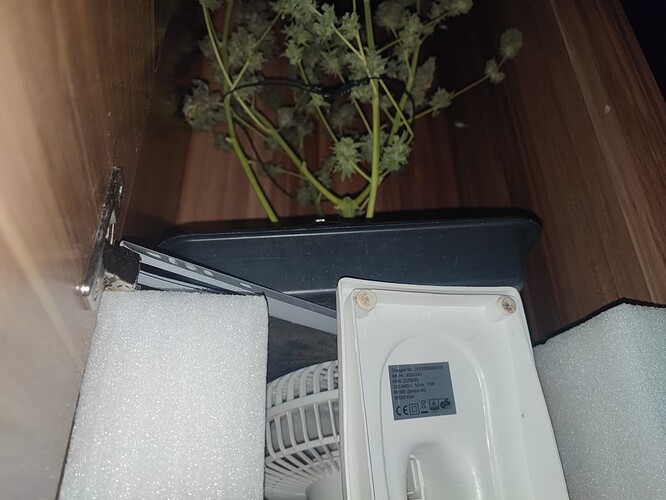 Growreport Bild 30