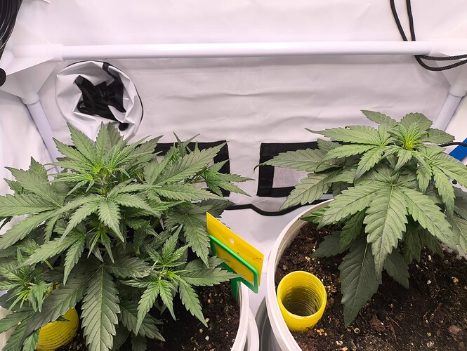 Growreport Bild 1
