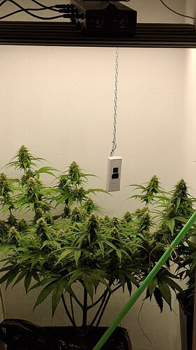 Growreport Bild 296