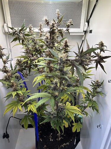 Growreport Bild 1