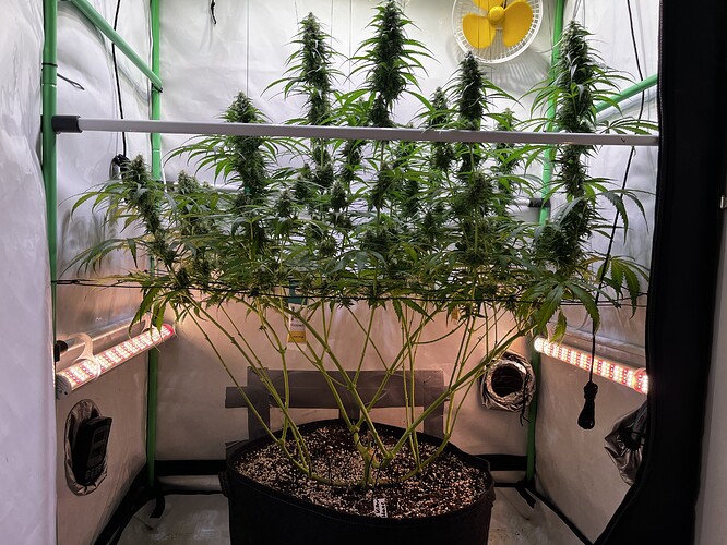 Growreport Bild 3