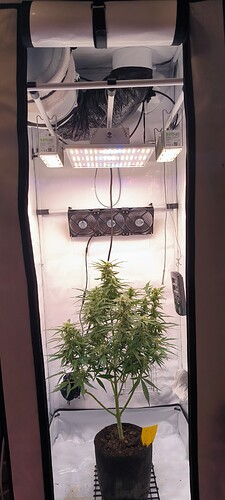 Growreport Bild 1