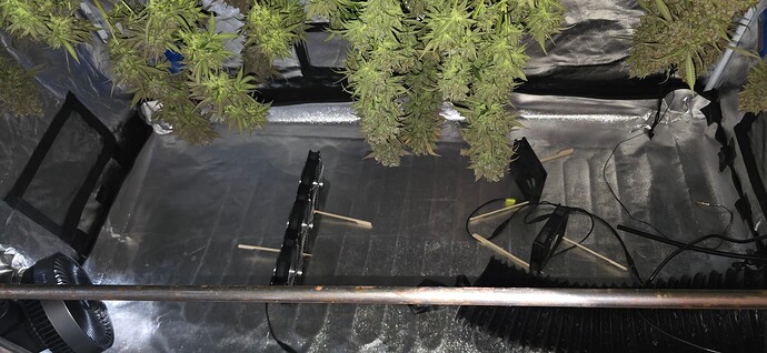 Growreport Bild 79