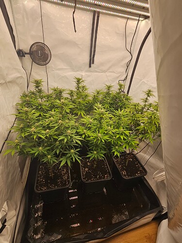 Growreport Bild 6