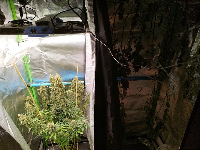 Growreport Bild 18