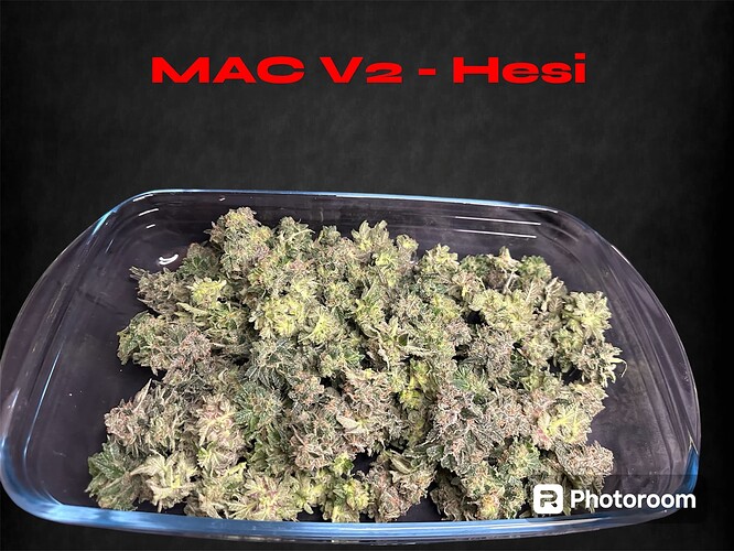 Growreport Bild 7