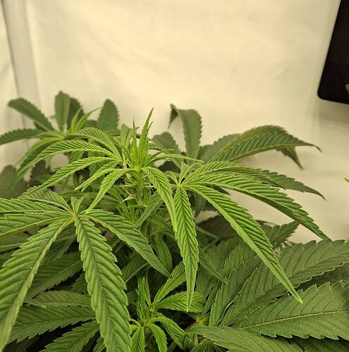 Growreport Bild 22